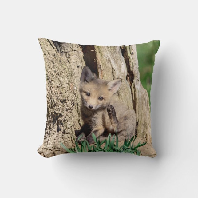 Almofada Fox Kit no Vale do Hudson (Frente)