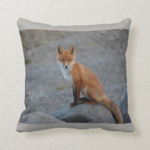 fox o coxim, travesseiro decorativo da raposa,
