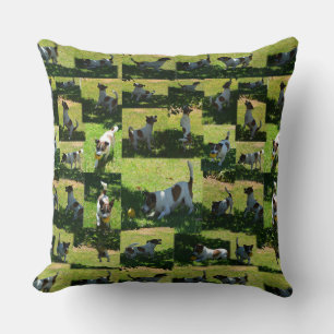 Almofada Fox Terrier, Foto Collarge Large Cushion.