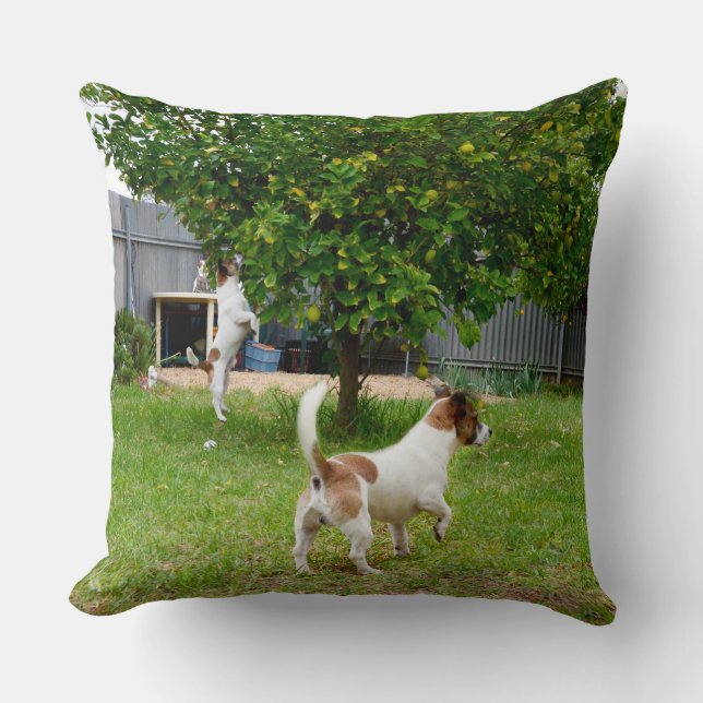 Almofada Fox Terrier Pulando Em Uma Árvore, (Frente)