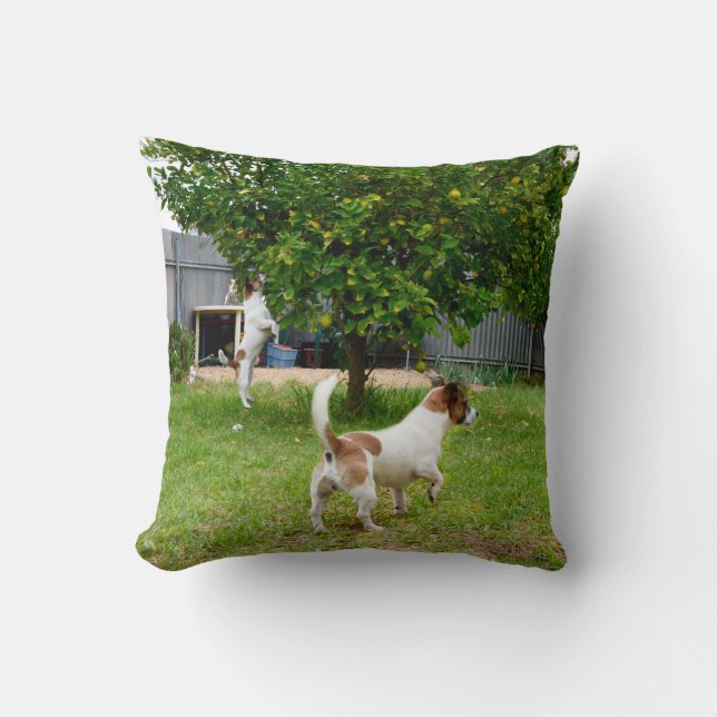 Almofada Fox Terrier Time Throw (Frente)