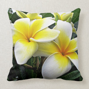 Almofada Frangipani