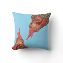 Frango Engraçado Para Baixo