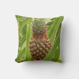 Almofada Fruta tropical de ananás selvagem na natureza