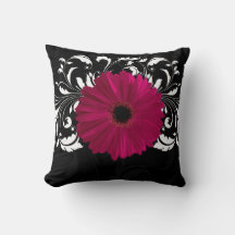 Fuchsia, Gerbera Daisy Negra