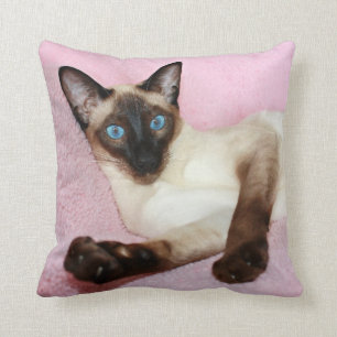 Almofada Fundo do rosa do gato Siamese