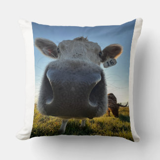 Almofada Funny Cow Pillow