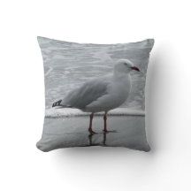 Gaivota na borda das águas