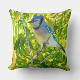 Almofada Ganso-do-Canadá, Pega-azul-do-norte, Personalizado