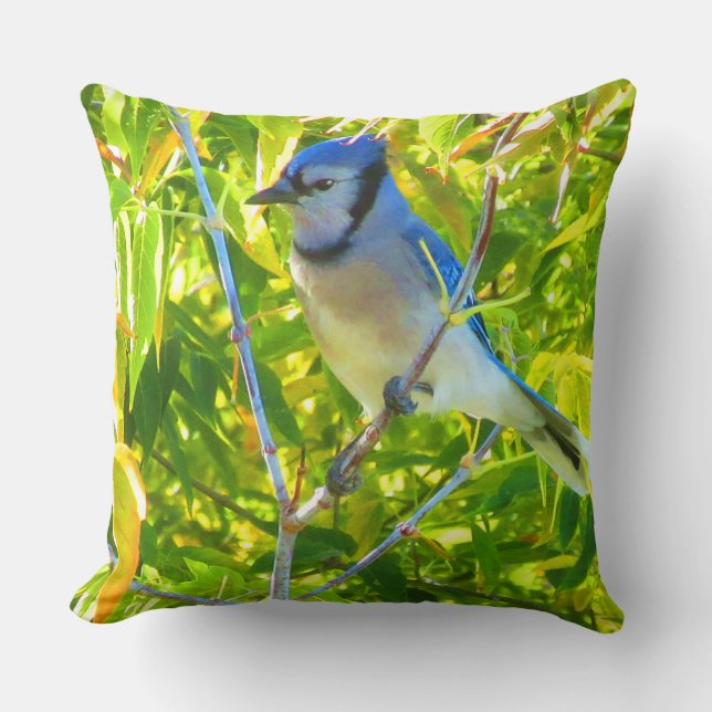 Almofada Ganso-do-Canadá, Pega-azul-do-norte, Personalizado (Frente)