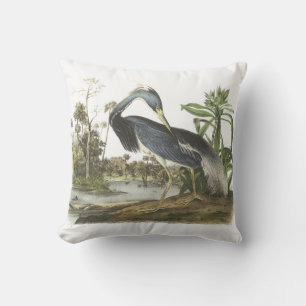 Almofada Garça-real de Tricolored por Audubon