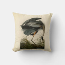 Garça-real-marrom de Audubon Pântano Ave