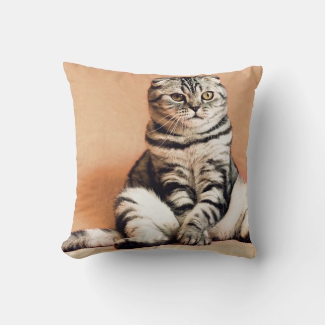 Almofada Gatinho Bonito Desenterrado (Frente)