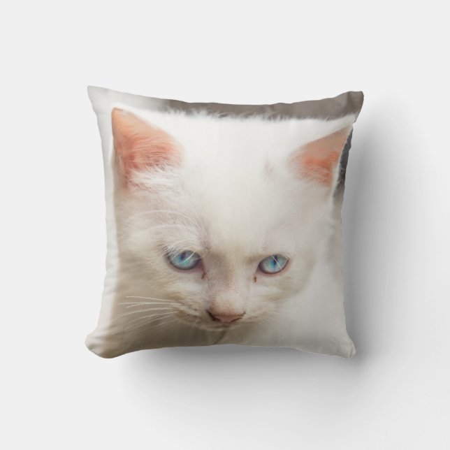 Almofada Gatinho branco (Frente)
