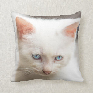 Almofada Gatinho branco