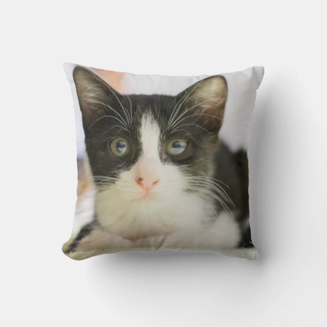Almofada Gatinho branco e preto doce (Frente)