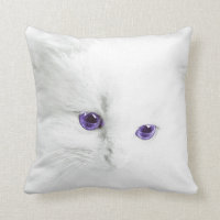 Gatinho branco macio com olhos roxos