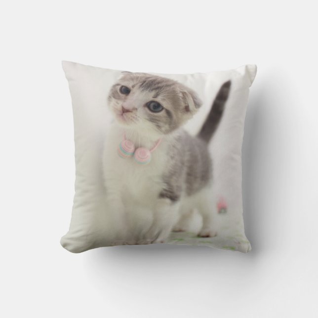 Almofada Gatinho da dobra do Scottish (Frente)
