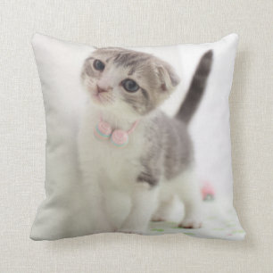 Almofada Gatinho da dobra do Scottish