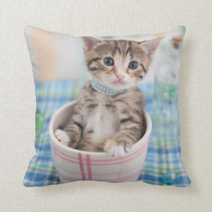 Almofada Gatinho de Munchkin com fita bonito