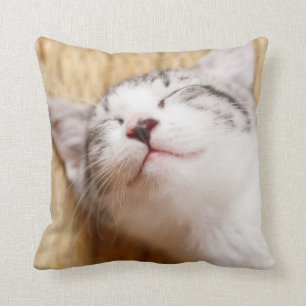 Almofada Gatinho do sono