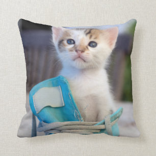 Almofada Gatinho em uns calçados