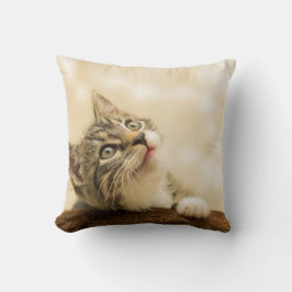 Almofada Gatinho Fofo com uma Pata Estimulada