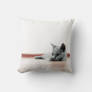 Almofada Gatinho Gatinho Gelado Escocês Super Bonito