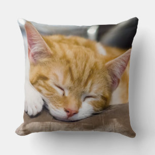 Almofada Gatinho Gato