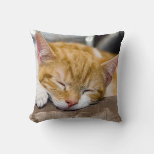 Almofada Gatinho Gato