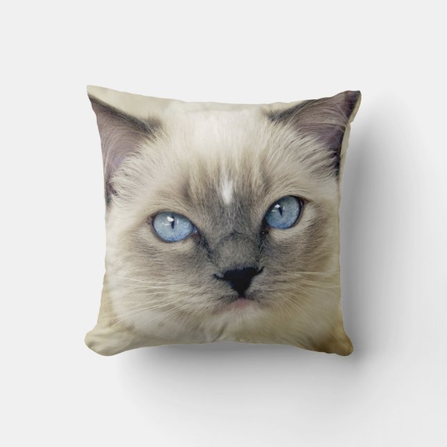 Almofada gatinho Ragdoll (Frente)