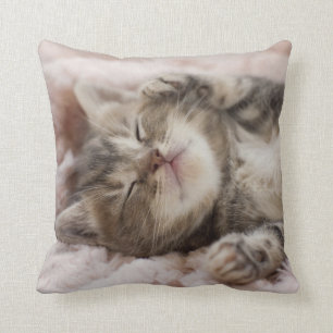 Almofada Gatinho sonolento