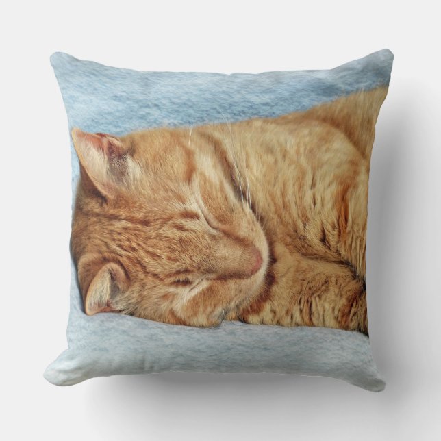 Almofada Gatinho sonolento (Frente)