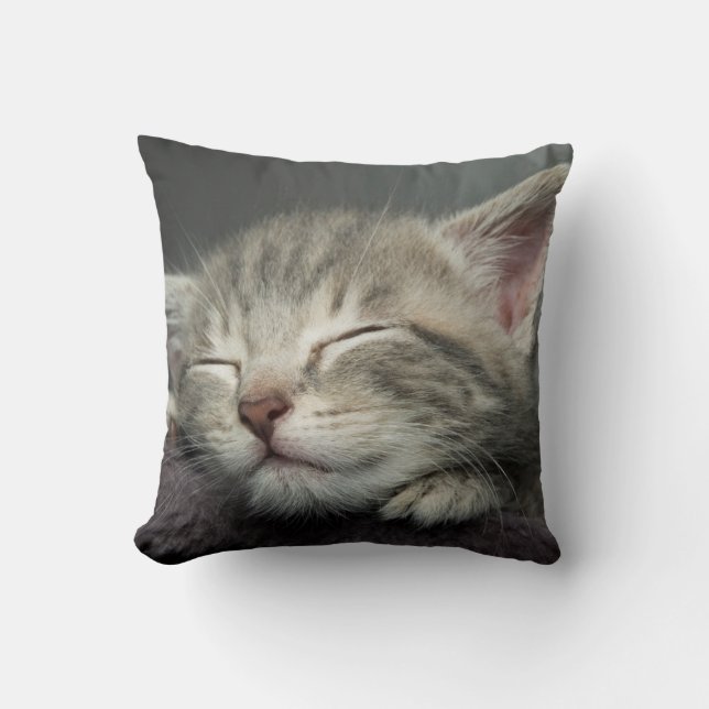 Almofada Gatinho sonolento (Frente)