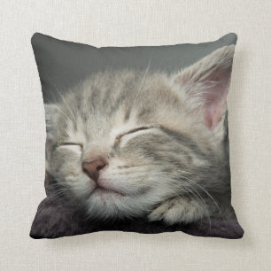 Almofada Gatinho sonolento