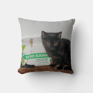 Almofada Gatinhos