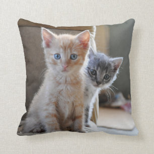 Almofada Gatinhos curiosos