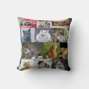 Almofada Gatinhos em todos os lugares