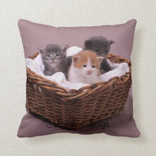 Almofada Gatinhos em uma cesta