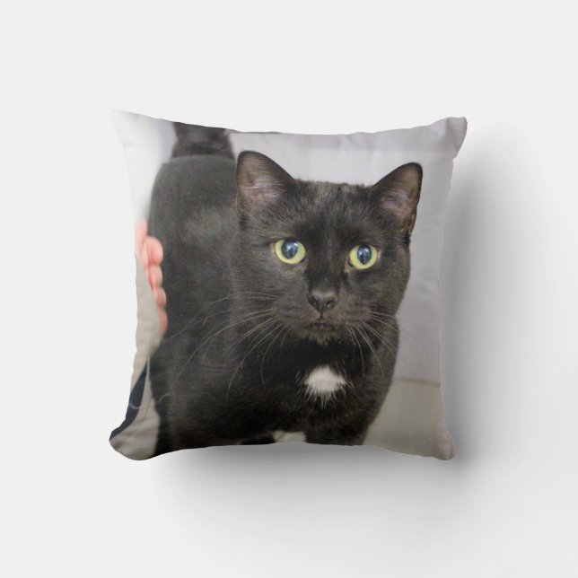 Almofada Gato (Frente)