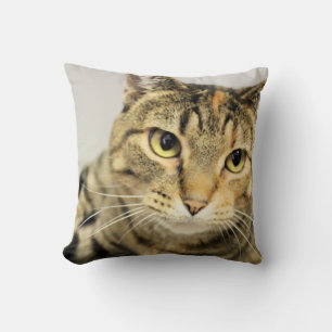 Almofada Gato