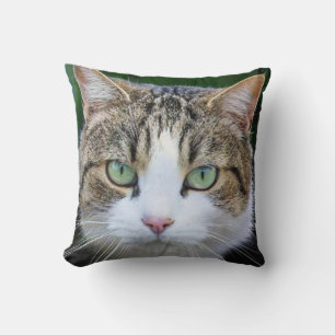 Almofada Gato branco avistado - amantes de fotos de gatos