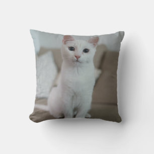 Almofada Gato branco   Zazzle_Growth.