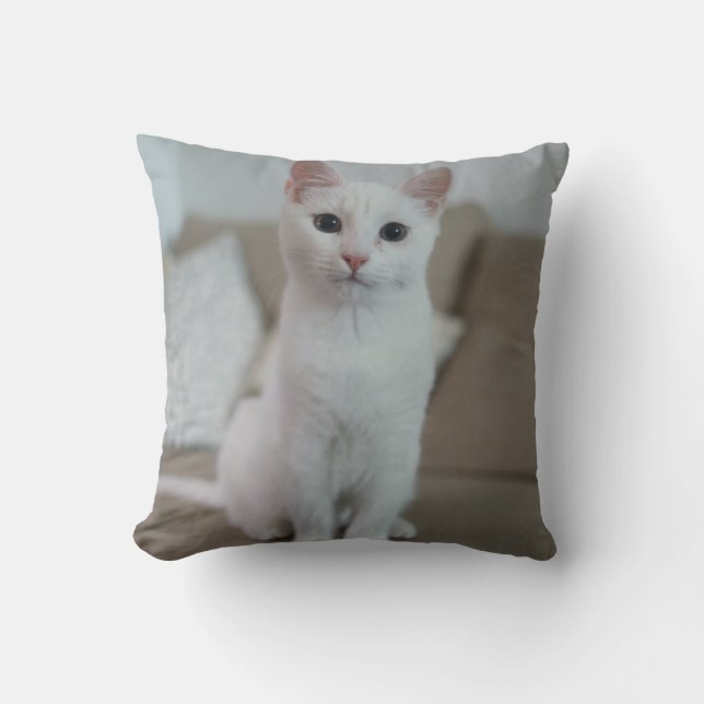 Almofada Gato branco | Zazzle_Growth. (Frente)