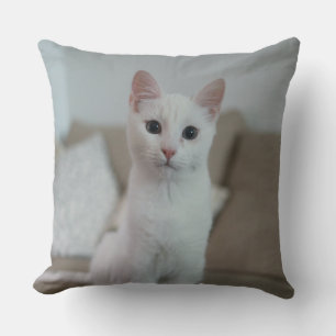 Almofada Gato branco Zazzle_Growth.