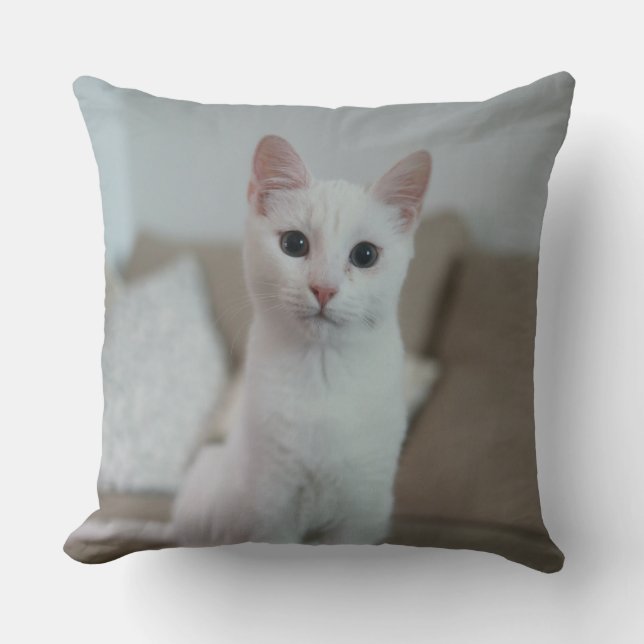 Almofada Gato branco | Zazzle_Growth. (Frente)