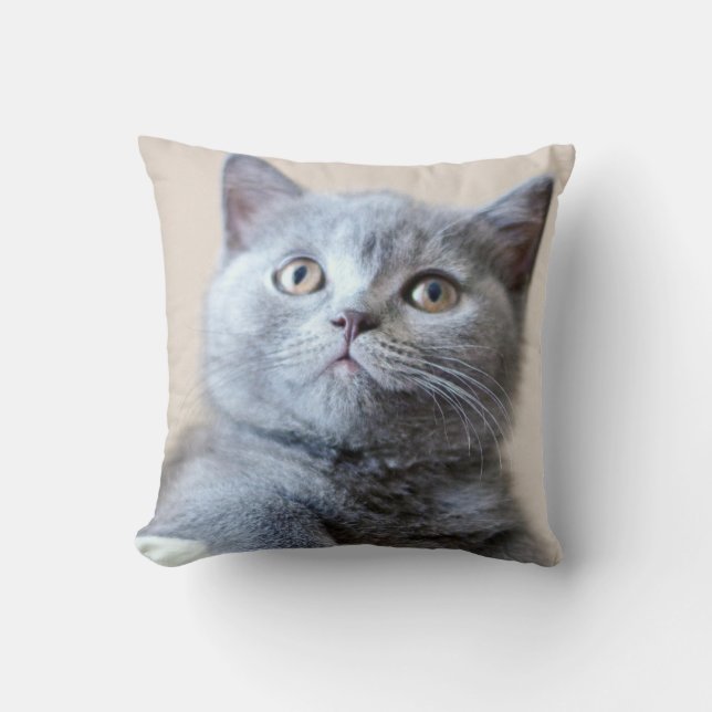 Almofada Gato britânico cinzento de Shorthair (Frente)