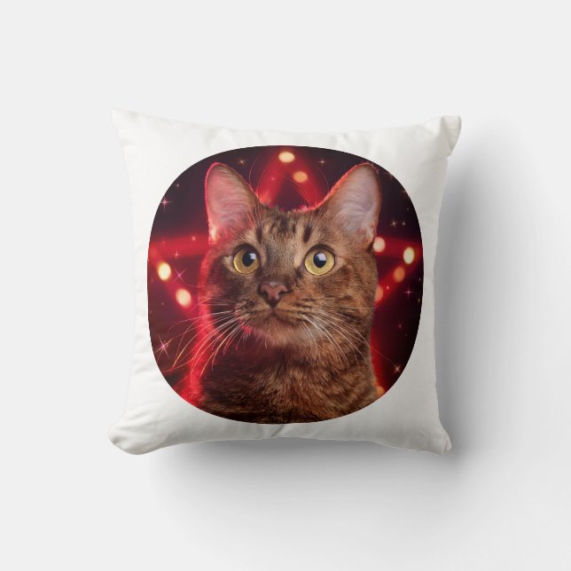 Almofada Gato Castanho De Havana (Raça Com Fundo De Estrelo (Frente)
