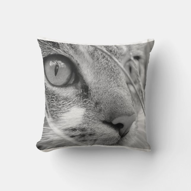 Almofada gato cinza e branco em um verde (Frente)