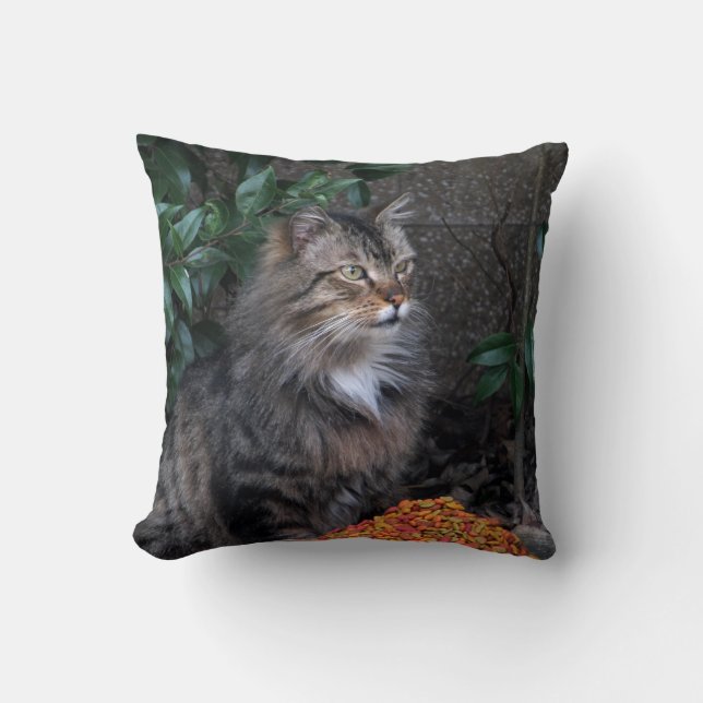 Almofada Gato com um travesseiro grato do coração (Frente)